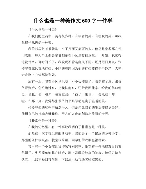 什么也是一种美作文600字一件事