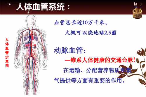 心血管健康伴我同行ppt课件