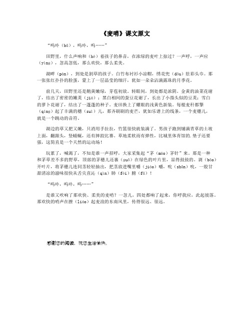 《麦哨》课文原文