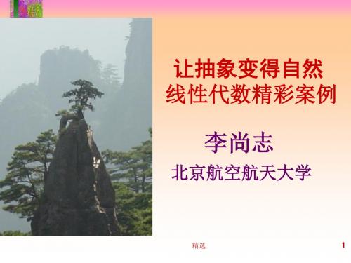 新版让抽象变得自然-线性代数精彩案例课件.ppt