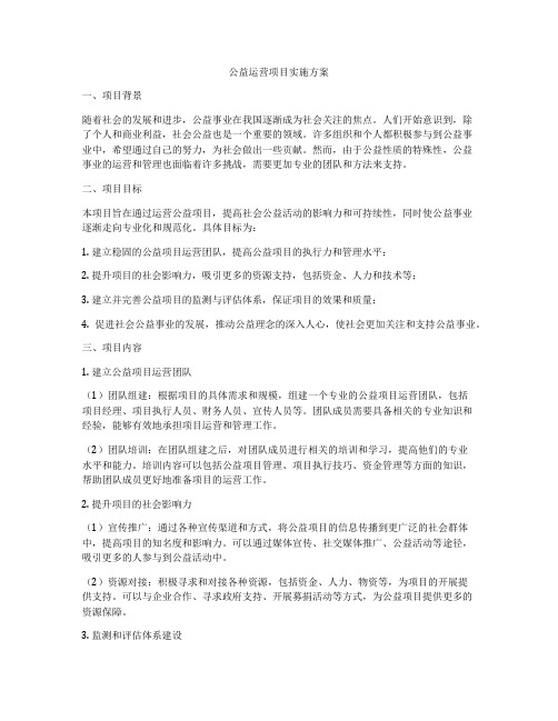 公益运营项目实施方案