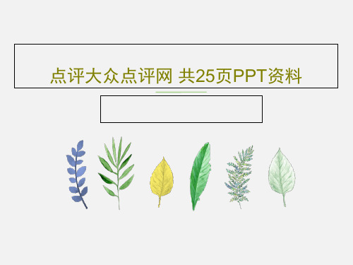 点评大众点评网 共25页PPT资料PPT文档共26页