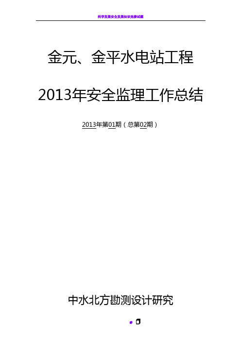 2013年安全监理工作总结