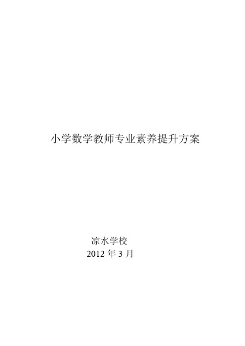 小学数学教师专业素养提升的规划111