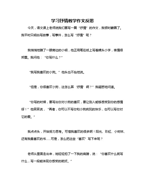 学习抒情教学作文反思