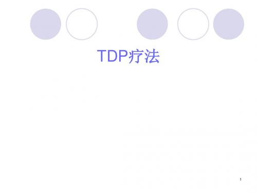 TDP疗法ppt课件