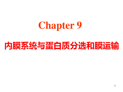 chapter9内膜系统与蛋白质分选和膜运输