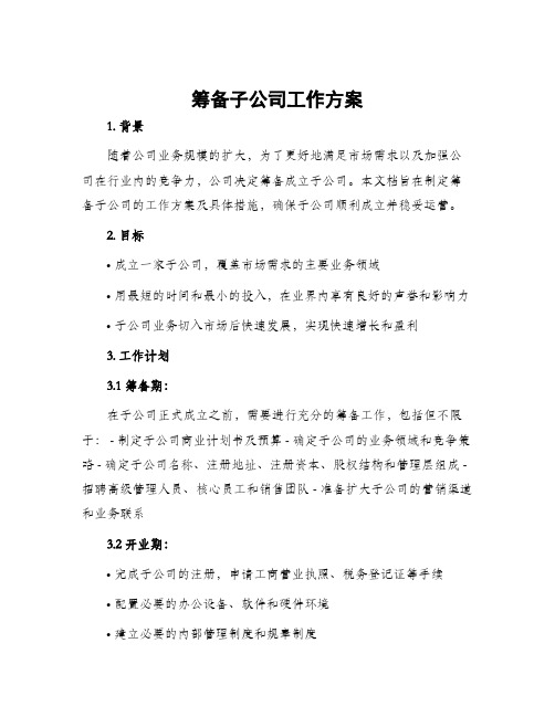 筹备子公司工作方案