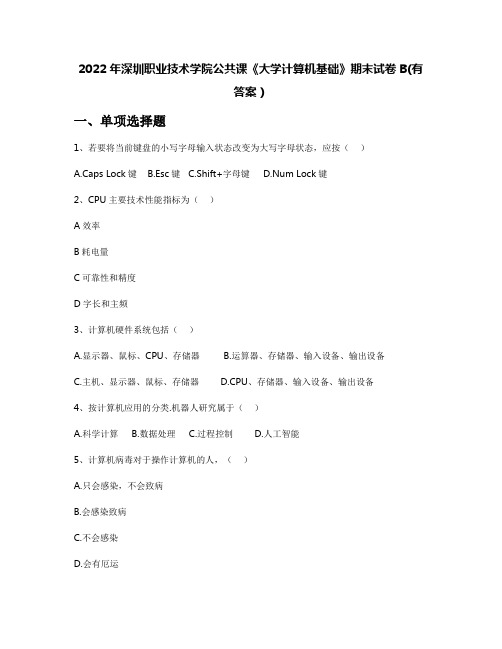 2022年深圳职业技术学院公共课《大学计算机基础》期末试卷B(有答案)