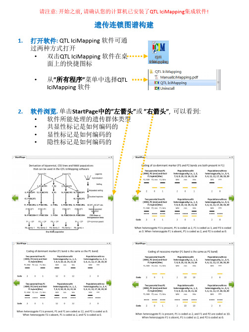 图谱构建教程