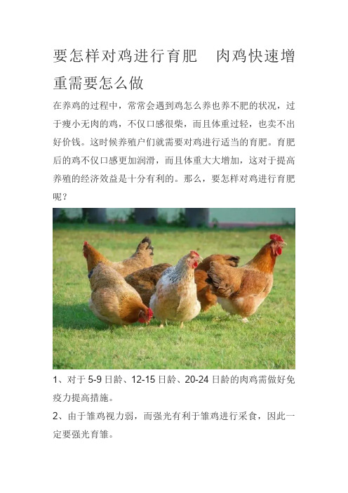 要怎样对鸡进行育肥肉鸡快速增重需要怎么做