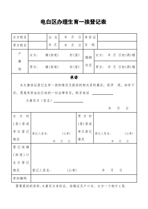电白区办理生育一孩登记表