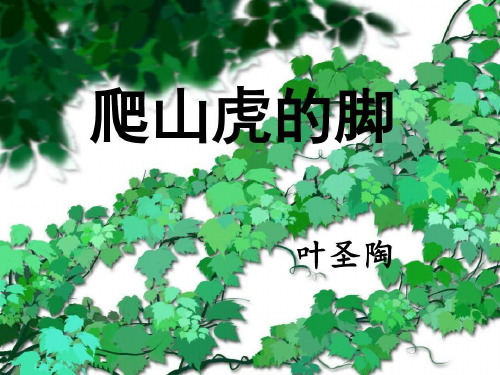 《爬山虎的脚》优秀ppt课件【公开课作品】