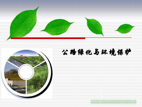 公路绿化与环境保护培训讲义(PPT,91页)