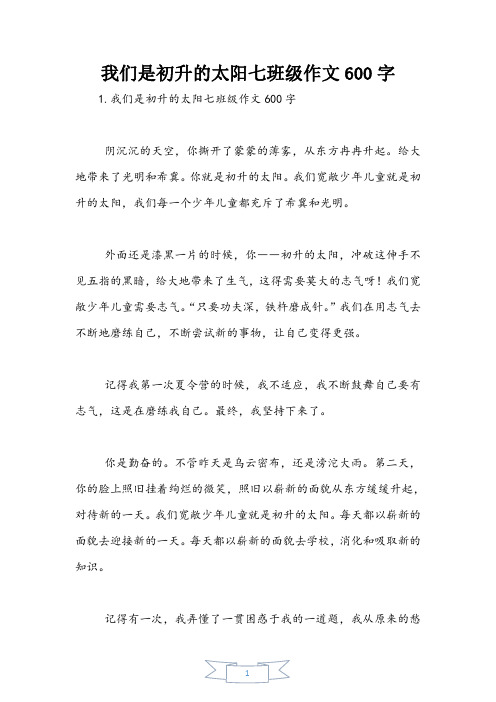 我们是初升的太阳七年级作文600字