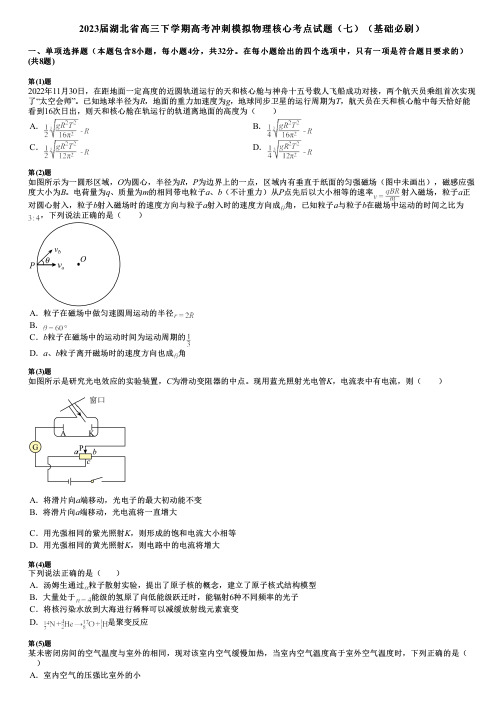 2023届湖北省高三下学期高考冲刺模拟物理核心考点试题(七)(基础必刷)