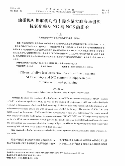 油橄榄叶提取物对铅中毒小鼠大脑海马组织抗氧化酶及NO与NOS的影响