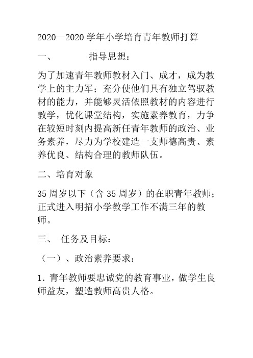 小学培育青年教师打算