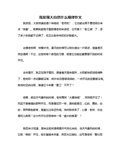 我发现大自然什么规律作文