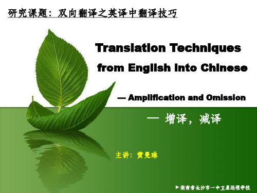 湖南学业水平考试《双向翻译》技巧