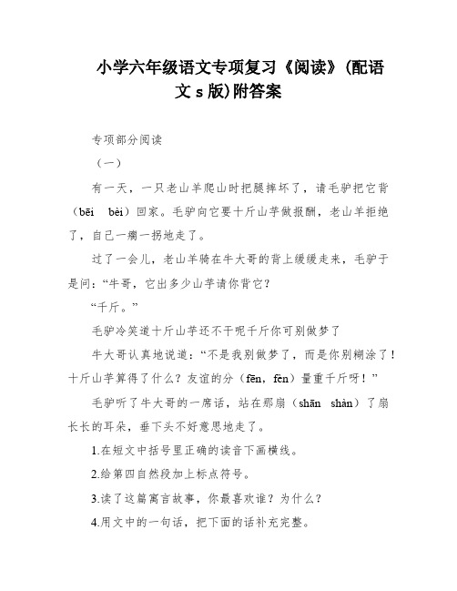 小学六年级语文专项复习《阅读》(配语文s版)附答案