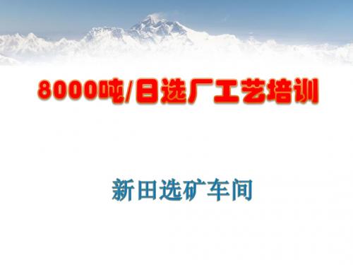 8000t╱d选矿工艺培训主讲教材精要