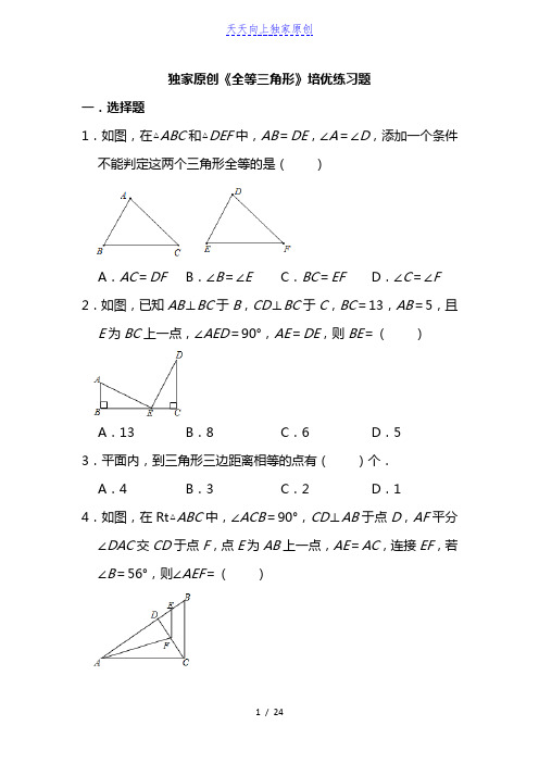 2022-2023学年八年级上册《全等三角形》培优练习题   含答案