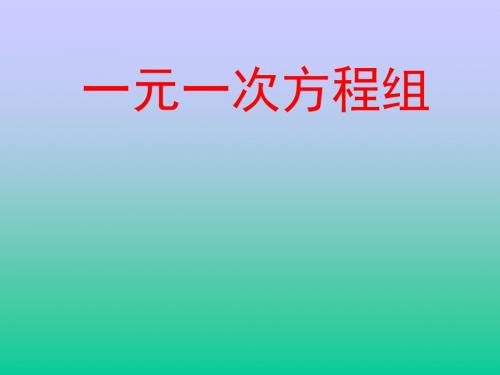 九年级数学 人教版中考专题复习《一元一次方程》课件(共16张PPT)