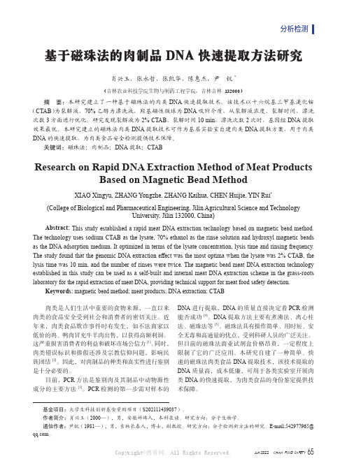 基于磁珠法的肉制品DNA快速提取方法研究