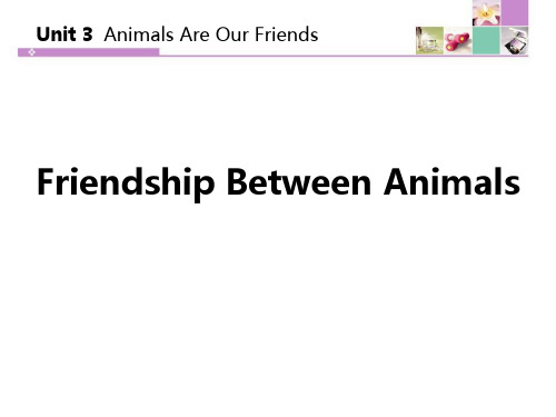 冀教版八年级下册英语《Friendship Between Animals》Animals Are 