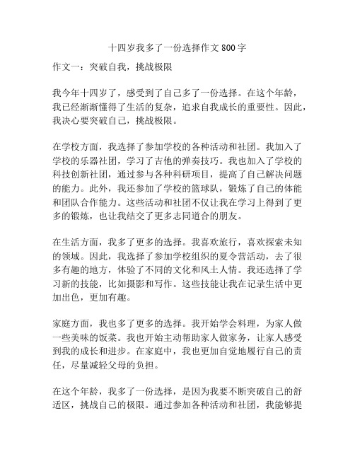 十四岁我多了一份选择作文800字