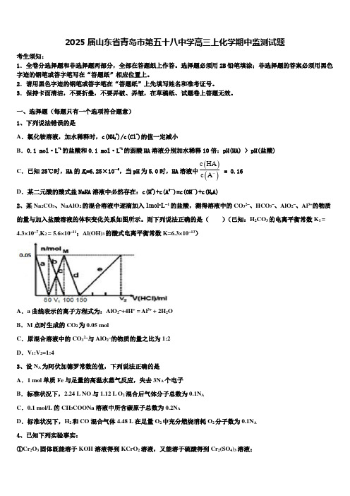 2025届山东省青岛市第五十八中学高三上化学期中监测试题含解析