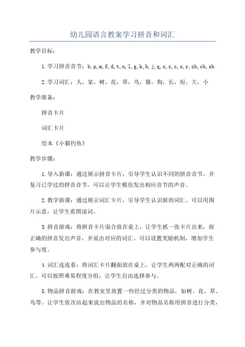 幼儿园语言教案学习拼音和词汇