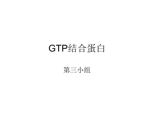 GTP蛋白