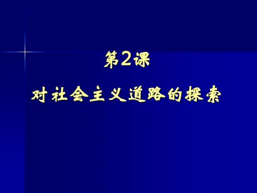 对社会主义道路的探索