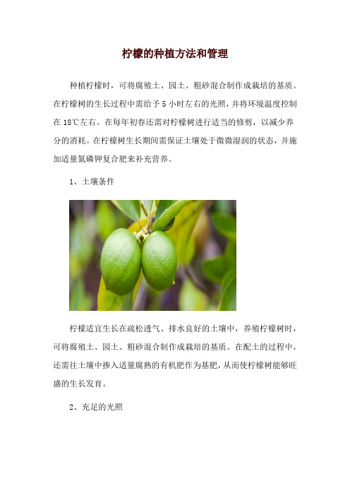 柠檬的种植方法和管理