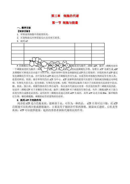 高二生物《细胞与能量》教案浙科版