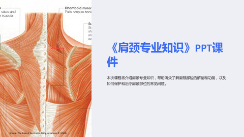 《肩颈专业知识》课件