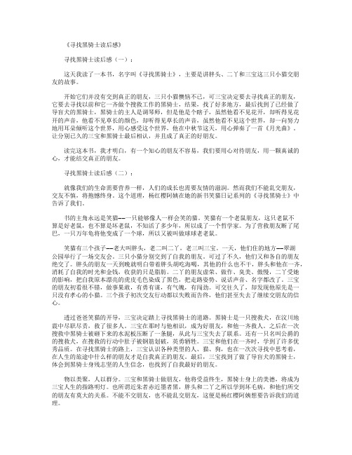 寻找黑骑士读后感10篇