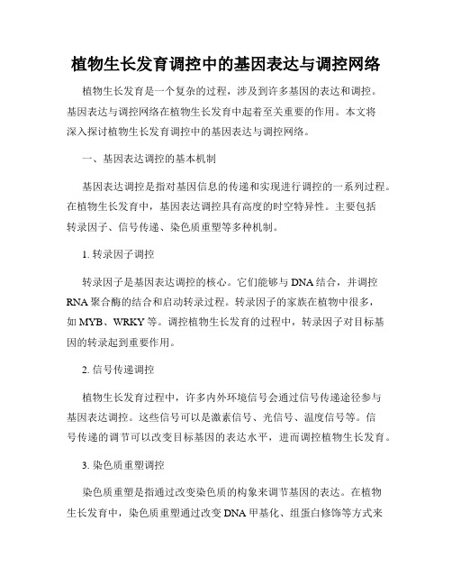 植物生长发育调控中的基因表达与调控网络