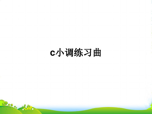 新人教版九年级上册音乐课件 第4单元：c小调练习曲(19张)