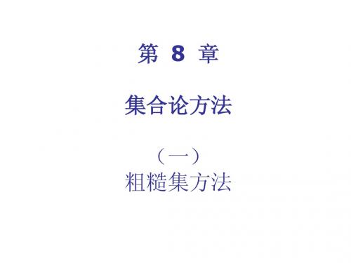 10.粗糙集方法