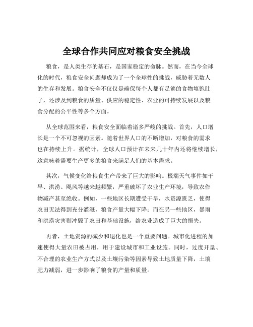 全球合作共同应对粮食安全挑战