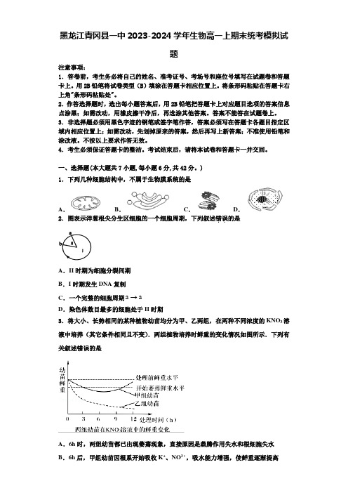 黑龙江青冈县一中2023-2024学年生物高一上期末统考模拟试题含解析