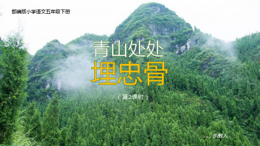 五年级语文下册青山处处埋忠骨教学课件