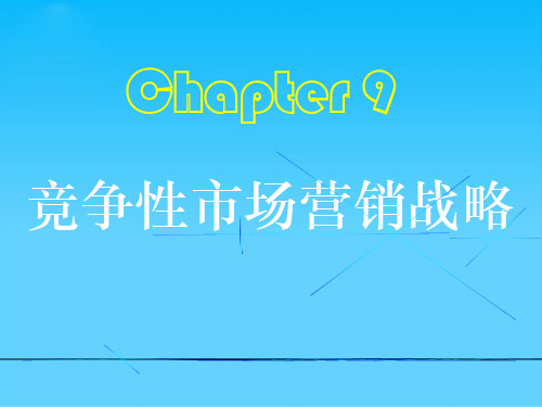 竞争性市场营销战略(ppt 89页)