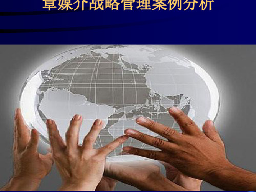 媒介战略管理案例分析