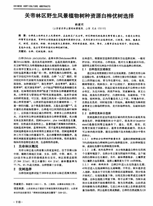 关帝林区野生风景植物树种资源白桦优树选择