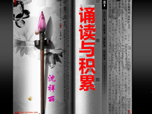 成语复习