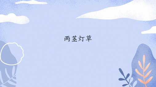 《人物描写一组》ppt—人教部编版人物描写一组完美课件9
